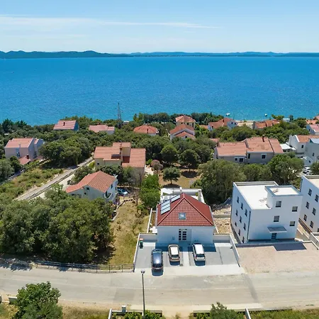Vidalis, No 1