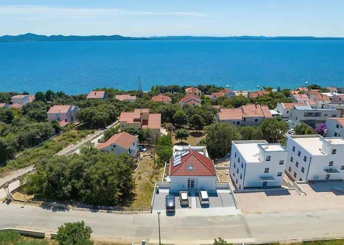 Vidalis, No 1