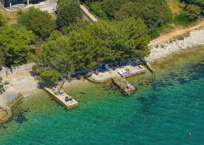 Vidalis, No 1 * Kožino