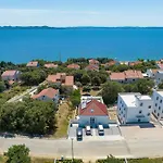 Vidalis, No 1